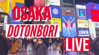 Downtown Osaka Dotonbori Live Osaka Japan [upl. by Deibel426]