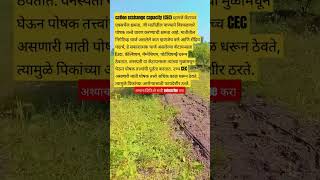 Cation exchange capacity of soil  farming agriculture trending shetakari vegetablefarming [upl. by Tigdirb180]