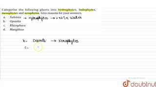 Categorise the following plants into hydrophytes halophytes mesophytes and xerophytes [upl. by Maclaine]