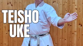 Aprende KARATE 🥋 PASO A PASO TEISHOUKE fácil y rápido ✅️ Ideal principiantes‼️ [upl. by Upali]