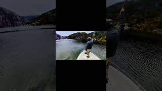 Sea trout  Høst i Lysefjorden Teaser 😊 short [upl. by Pease]