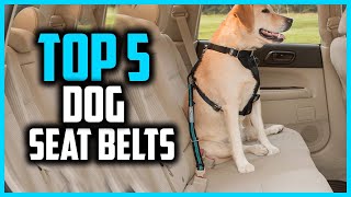 ✅Top 5 Best Dog Seat Belts in 2024 [upl. by Oletta849]