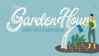 The Garden Hour with MU Extension – 101624 [upl. by Suivatna]