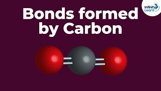 Bonds formed by Carbon  Dont Memorise [upl. by Alexandros]