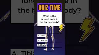 What is the Longest Bone in the Human Body  Human Anatomy Quiz [upl. by Raimund]