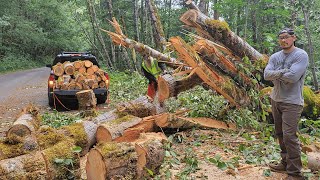 Roadside Firewood Haul After a Storm Forest Service Showed Up [upl. by Niamrej881]