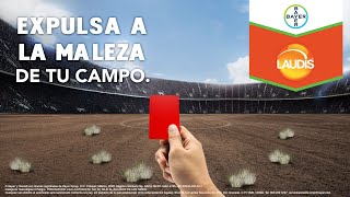 Expulsa a la maleza de tu campo con Laudis® [upl. by Anirad]