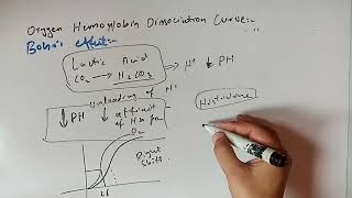 Oxygen Hemoglobin Dissociation Curve Protein Biochemistry 1st Year MBBS Lecture 6 [upl. by Deraj]