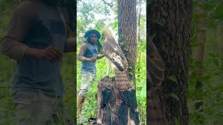 A man walks to meet Eagle on a stump tree part 05 uthina songwe wangdue rongali bootea [upl. by Onin]