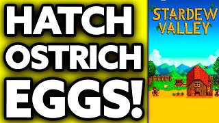 How To Hatch Ostrich Eggs Stardew Valley EASY [upl. by Kally]