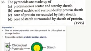 NEET PYQ Algae Q6ampQ7 1993 amp 1995 [upl. by Ahsiela]