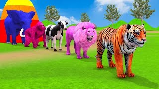 Long Slide Game With Elephant Gorilla Buffalo Hippopotamus Tiger  3d Animal Game  Funny 3d Animals [upl. by Anayk]