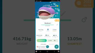 ✨ Shiny Wailmer Family Pokemon Go Wailord pokemon pokemongo pokémongo [upl. by Thelma]