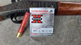 Winchester Super X 410 3quot 5 Pellet 000 Buck Pattern Test W NEF Pardner SB1 Youth 410 [upl. by Mima143]