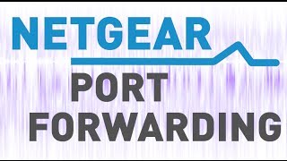 quotPort Conflict with Other Servicequot Error Solution with Netgear Port Forwarding [upl. by Elinore]