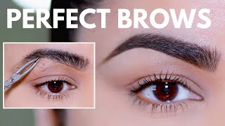 HOW TO GROOM SHAPE amp MAINTAIN EYEBROWS AT HOME BEGINNER FRIENDLY [upl. by Levin496]