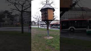 Голубятня Домик для голубей в Германии Dovecote Pigeon house in Germany [upl. by Eleirbag]