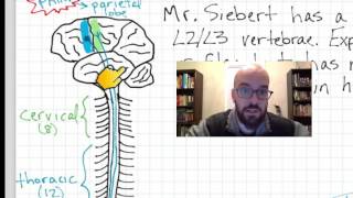 Tenodesis grasp and How Quadriplegics use it to pick stuff up [upl. by Allehc619]