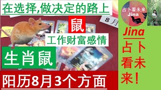 生肖鼠🐀阳历8月3方面运势在选择 做决定的路上🍀个人占卜加二维码在视频最后🌞2024年 [upl. by Seavir]