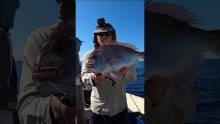 Snapper on WIRE TRACE fishing snapper fishingvideo fishinglife fishingtips fish bait ocean [upl. by Goran]