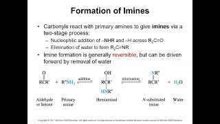 Nucleophilic Addition of Amines to CarbonylsOrganic Chemistry II20 [upl. by Zelma156]