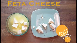 How to make Feta Cheese at home Super Easy amp Healthy Inspired by Iranian Cuisine [upl. by Atikahs]