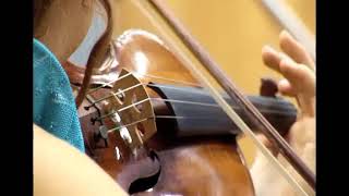 Paganini in shorts Violin Concerto No1 Cadenza by Sauret excerpt [upl. by Dreeda505]