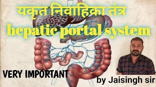 Hepatic portal system यकृत निवाहका तंत्र  Hindi  by Jaisingh sir  NEET [upl. by Ahsap]