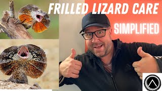 Frilled Lizard Care 101 [upl. by Yelnet]