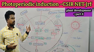 Plant development –6 Photoperiodic induction [upl. by Atilegna956]