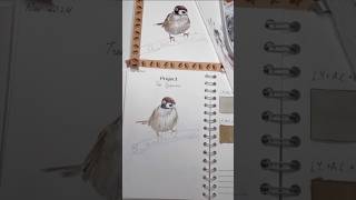 What I do before painting original realistic painting watercolors blankcanvas watercolormixing [upl. by Strep167]