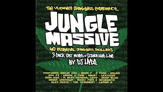 DJ Hype  Jungle Massive CD1 [upl. by Icam]