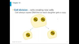 Biology Chapter 10 [upl. by Jamill130]