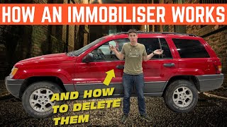 What Is An Immobiliser How Does It Work And How Do You DELETE It [upl. by Richmound]