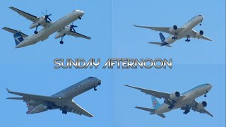 Sunday Afternoon Plane Spotting in Des Moines WA [upl. by Ginder]