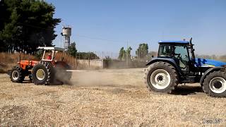 FIAT1000 Vs New Holland TM155 [upl. by Nwadahs]