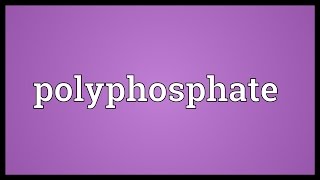 Polyphosphate Meaning [upl. by Mckeon]