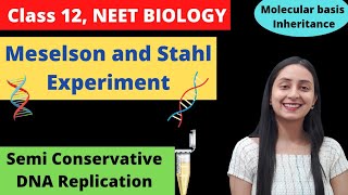 The Meselson and Stahl Experiment Understanding DNA Replication [upl. by Eeram29]