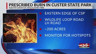 Custer State Park prescribed burn held [upl. by Holzman]