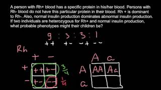 Dihybrid cross problem and solution [upl. by Conah]