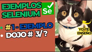 Selenium y java desde 0  Ejemplo 1 parte 3  Send keys [upl. by Wulf]