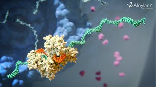 RNAi Therapeutics  How this New Class of Medicines Works [upl. by Simpkins]