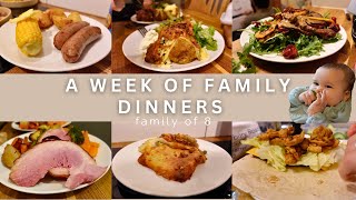 WEEK 70 FAMILY DINNERS OF THE WEEK  family of eight evening meal ideas meal plan🍝🥙 [upl. by Aerdnaek426]