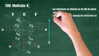 101 Teoría de Orbitales Moleculares Molécula N2 [upl. by Yrollam348]