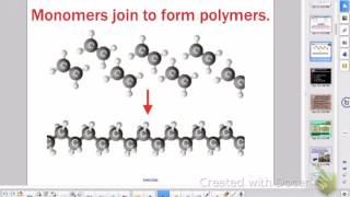 AP Bio Chapter 3 The Chemistry of Organic Molecules [upl. by Michelsen315]