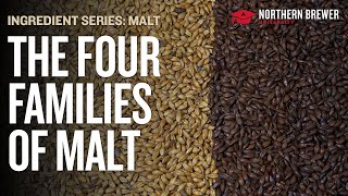 The Four Families of Malt and How to Use Them in Homebrew [upl. by Aicrop]