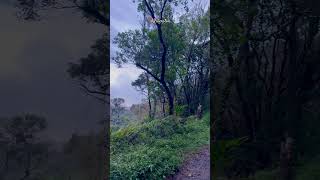 Riverston 🫧🍃  shortvideo  travel  visitsrilanka 🇱🇰 [upl. by Anaiq500]