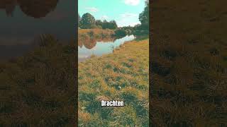 Drachten Nederlands beautiful nature 😍 nature naturelovers travel nederlands shorts citytour [upl. by Siul919]