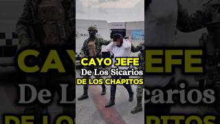 JEFE DE SICARIOS DE LOS CHAPITOS ES ARRESTADO EN CULIACÁN mexico narcos culiacan shorts facts [upl. by Idnis]