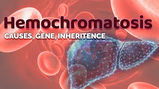 Hemochromatosis  Cause Gene amp Inheritance  HFE gene  Iron storage in Liver  Transferrin [upl. by Anifad]